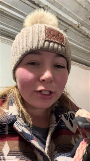 Fix a prolapsed ewe with me! #sheepfarming #annoyingsheepproblem #sheepissues #farmingproblems