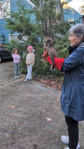 12 reactions | HappiNest Raptor Rescue on Reels | Facebook