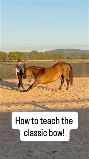 How to teach the classic bow! See the description for the steps ⬇️