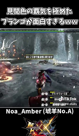 モンハンライズおすすめクリップ集