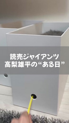 ファンフェスタのステージイベントで、「TikTok」チーム対抗戦を開催します！ 第１弾は、「俺のペットがNo1！」。各チームを代表して #山﨑伊織（オレンジ）、 #船迫大雅（ホワイト）、 #高梨雄平（ブラック）の３選手のペットにまつわる投稿動画の「いいね」数を競います！ 「いいね」の締め切りは、ファンフェスタ当日の正午まで。どの選手のペット、投稿が一番、癒されましたか！？ 皆さま、「いいね」をよろしくお願いします！