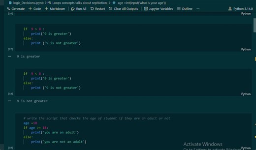Python Logic Decision Making Fundamentals | Anne Adeleye posted on the topic | LinkedIn