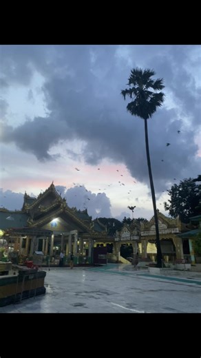 Thazin Tun on TikTok