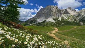 Alpine Spring Awakening: Drone Reveals Nature's Palette