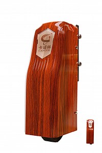 [Hot Item] Automatic Swing Gate Opener with Side Opener and Gate Circuit