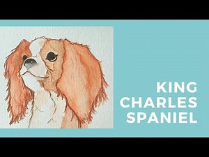 How to draw and paint a King Charles Spaniel