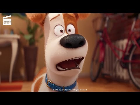 Comme des bêtes : Max, voici Duke