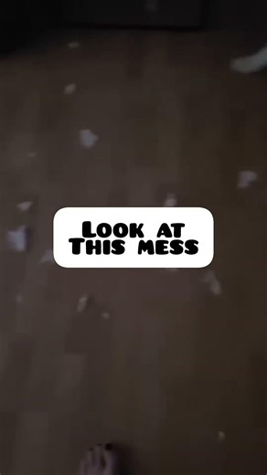 puppy makes a mess and tries to find who did it 😂