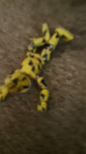 spring lock fale #fnaf