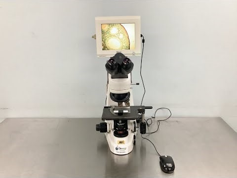 Nikon Eclipse 50i Microscope ID 28099