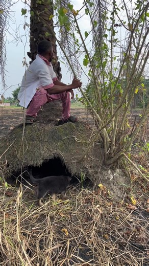 Talent Tv (@talent.tv8)’s videos with orijinal ses - snowbo.art