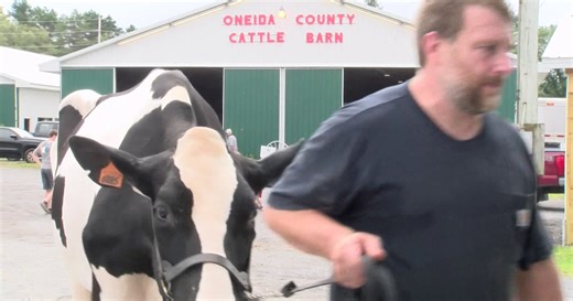 Boonville-Oneida County Fair Kicks Off