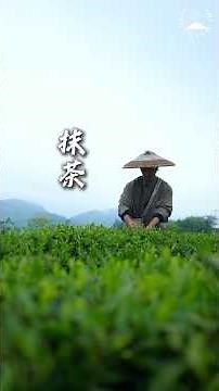 The Art of Making Chinese Matcha from Tea Leaves