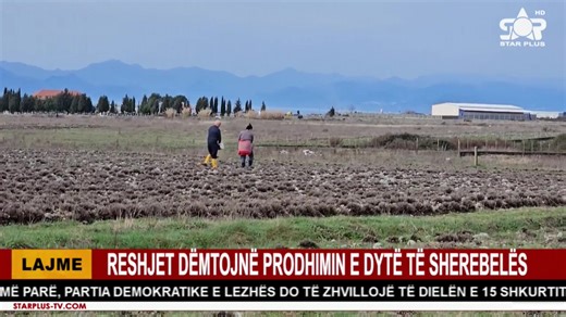 LAJMET E ORËS 14:30 - LIVE | Star Plus Tv
