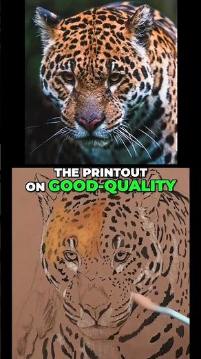 how to draw fur with pastels - jason morgan