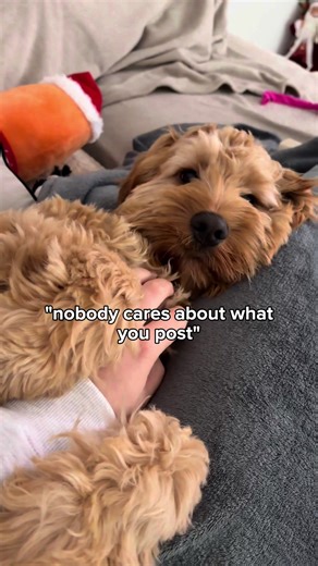 Just doing our thing☺️#dog #cockapoo #doggie #funvideos #CapCut