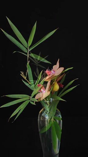 One bamboo, one orchid, one vase #FlowerArrangementTutorial #ChineseFlowerArrangement #LifestyleAesthetics #original | Asian bonsai