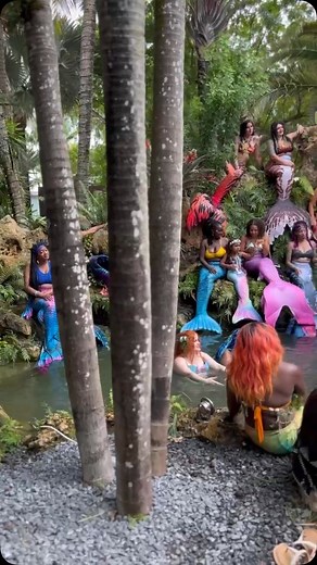 Practicing our Mermaid luring techniques 🤭 Join us, June 19-22 in Floridaaaa!! | The Mermaid Society