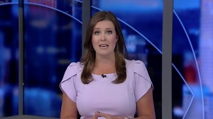 AAA hosts steering wheel lock giveaway