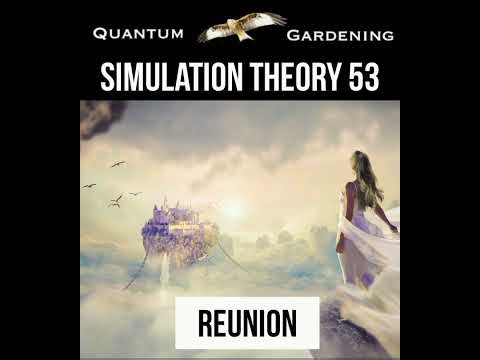 Simulation Theory 53 - Reunion ‪@5DGardening‬