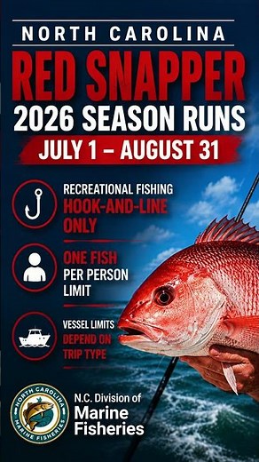 Red Snapper Season Opens. Time To Catch Them Up!