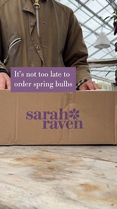 It’s not too late to order your spring bulbs! Our top tip is to plant your bulbs as soon as you can upon delivery. With temperatures starting to drop but the soil retaining some summer warmth, now is the perfect time to plant your spring bulbs. This allows roots to establish before the ground freezes. Planting now will result in better-performing plants next spring. Tulip tip: Wait until after the first frosts (late October–early December) to plant tulips. The colder soil helps prevent diseases 