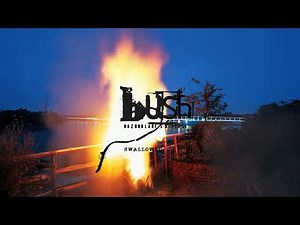 BUSH - Swallowed (Official Visualizer)