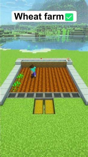 How to make simple automatic wheat farm in Minecraft with auto sorting #minecraft