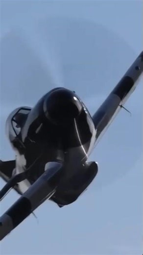 The Sound of a Legend | P-51 Mustang Flyby 🔊