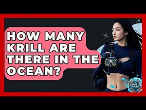 How Many Krill Are There In The Ocean? - The Marine Life Explorer