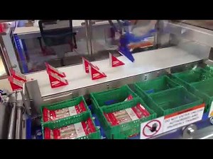 Robot Arm Food Industry, Delta Robot