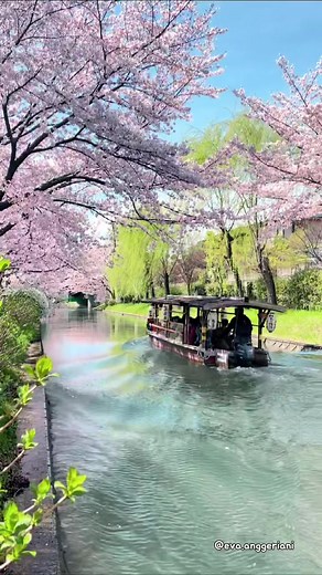 TikTokでEvaさんをチェック！