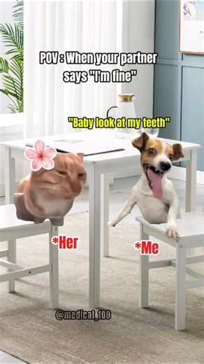 Relationship survival mode activated!🥱 #cat #funny #funnycatches #funnycats #memes #relationship