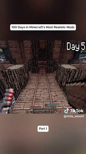 100 Days in Minecraft's Most Realistic Mods