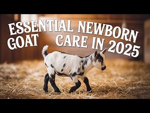 Essential Newborn Goat Care in 2025: Step-by-Step Guide After Kidding"