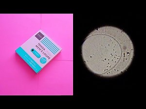 【TENGA メンズルーペ】スマホで簡単！精子の観察♪