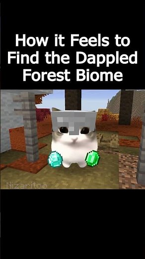 Dam dam didi didi cat meme