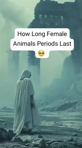 How Long Female Animals Periods Last 🥺 . #foryou #iloveusa🇺🇸 #knowledges #interesting