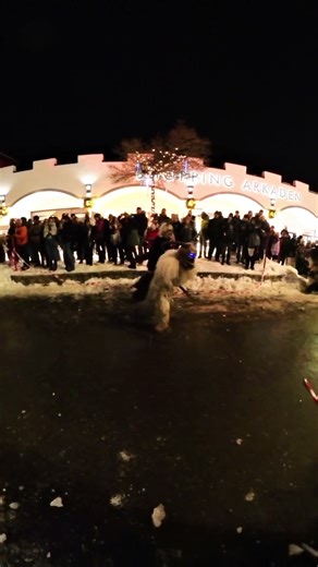 Krampuslauf Seefeld 2025 / Part 13 #Krampuslauf