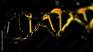 Animated DNA destroy rebuilding molecular alpha focus Stock Video