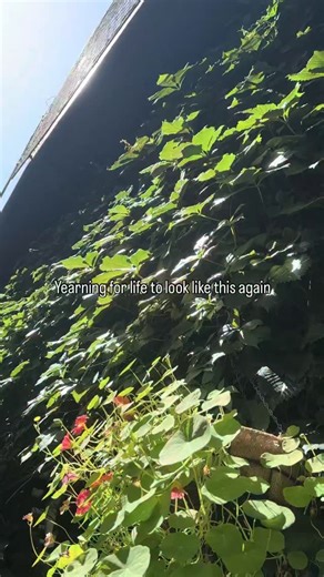 Summer cannot come fast enough | Regent's Park Open Air Theatre