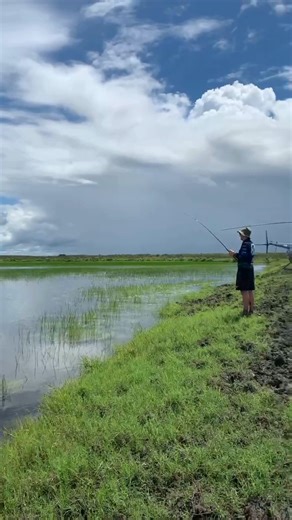 Top End helifishing! When the run-off hits, floodwaters surge through rivers, creeks and estuaries, causing an explosive feeding frenzy and a prime time for catching those trophy fish. HeliFish takes you where the crowds can’t, where every cast comes with a view. Run-off season books out fast. Secure your spot now. | Helifish