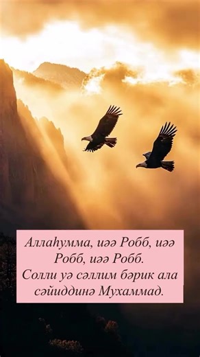 иманғакел (@imanga.kel.musilman)’s videos with оригинальный звук - иманғакел