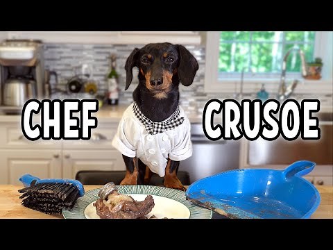 Ep 13: Chef Crusoe Makes 'Coq au Vin'! — (Cute & Funny Dachshund Cooking Video)