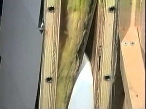 USA Insulation: The Benefits of Premium Foam