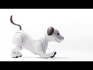 Sony  släpper ny Aibo! Robothunden gör comeback efter tolv år av saknad.