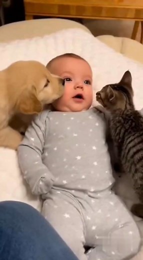 next level funny moment #funnyvideos #funnyreels | Green Spaces