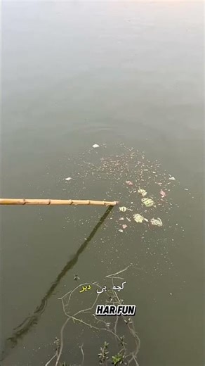 Unbelievable! Using Watermelon to Catch a Big Load of Fish | Unique Net Fishing