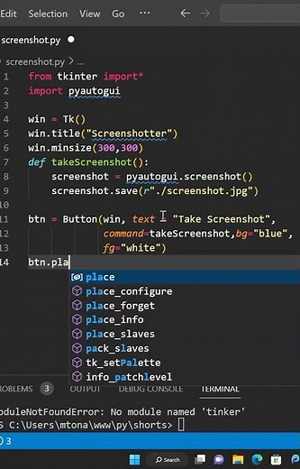 Python Screenshot Application