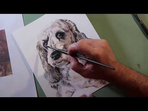 Cockapoo Watercolor Painting - sped up